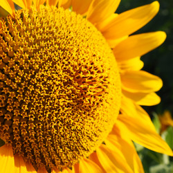 Similar image 21390578