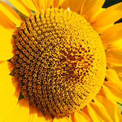 Similar image 21390579