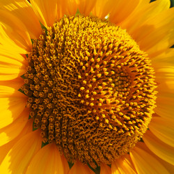 Similar image 21390581