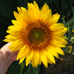 Similar image 21390582