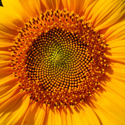 Similar image 21390586