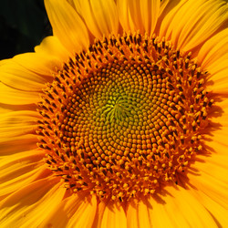 Similar image 21390589