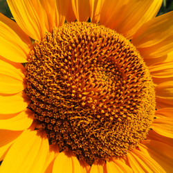 Similar image 21415854