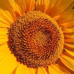 Similar image 21416179