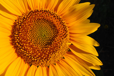 Similar image 21416180