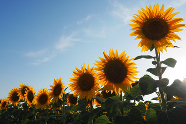 Similar image 21416181