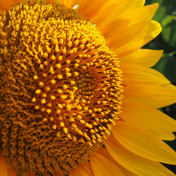 Similar image 21416182