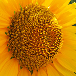 Similar image 21416183