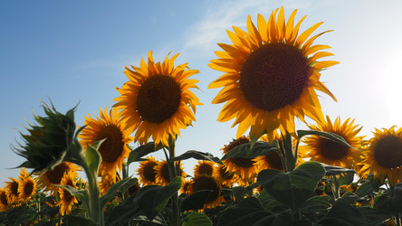 Similar image 21416364