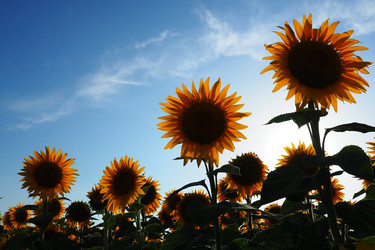 Similar image 21416406