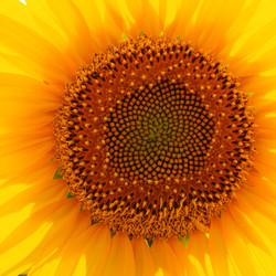 Similar image 21416407