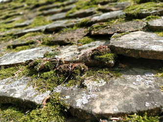 Similar image 21416488