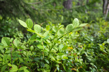 Similar image 21416969