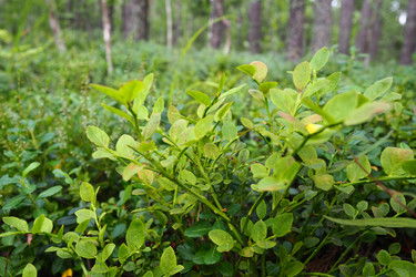 Similar image 21418213