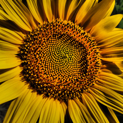 Similar image 21418214