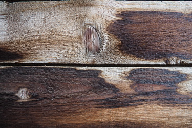 Similar image 21416503