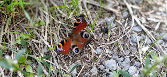 Similar image 21416976