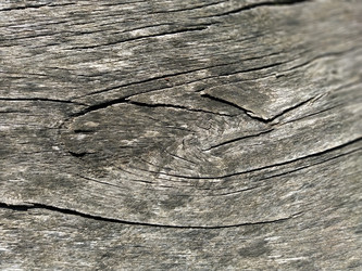 Similar image 21416986