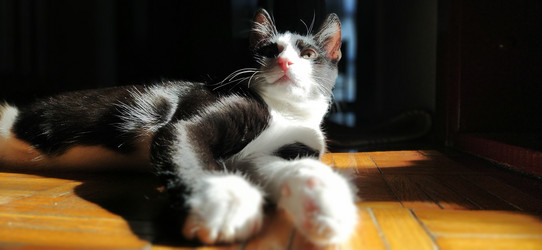 Similar image 21417796