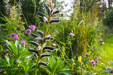 Similar image 21416509