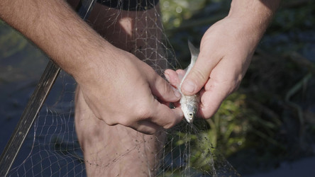 Similar image 21424314