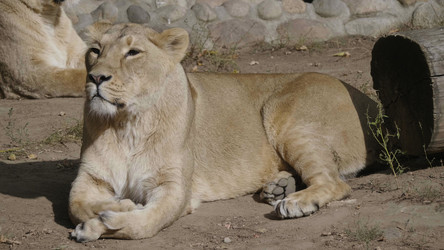 Similar image 21431291