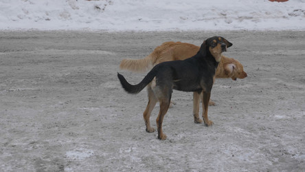 Similar image 21423471