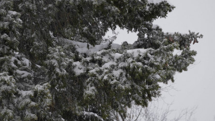 Similar image 21423473