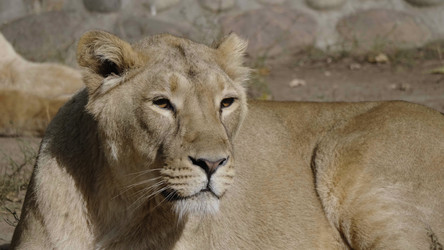 Similar image 21423478