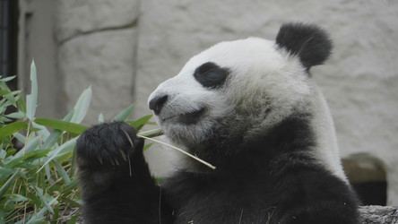 Similar image 21424016