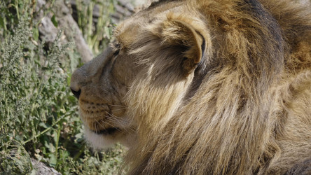 Similar image 21424023