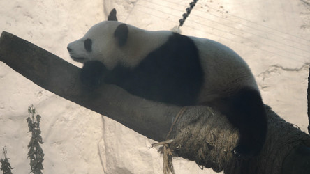 Similar image 21424026