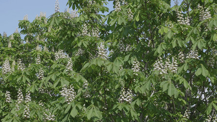 Similar image 21424315