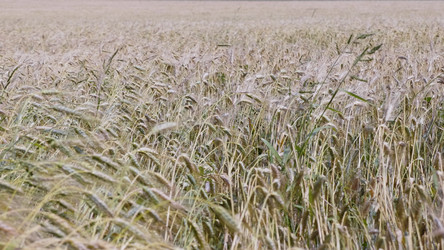 Similar image 21431298