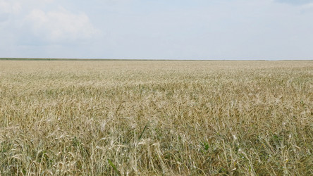 Similar image 21431299