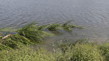 Similar image 21431300