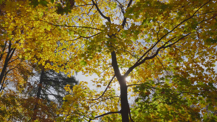 Similar image 21431301