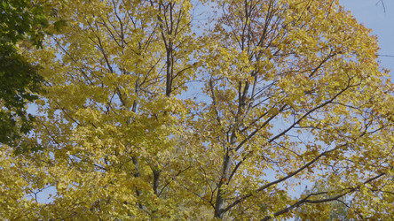 Similar image 21431303