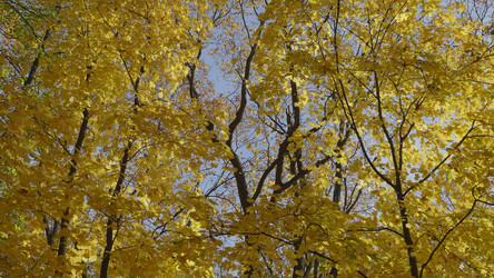 Similar image 21431304