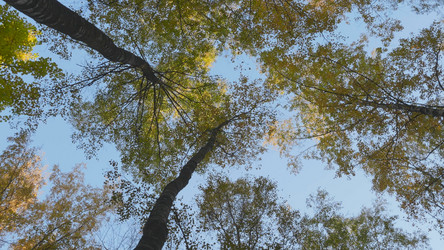 Similar image 21431305