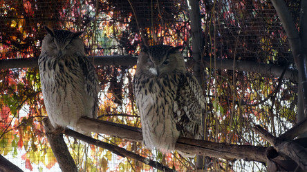 Similar image 21431306