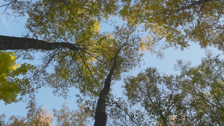 Similar image 21431307