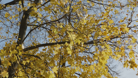 Similar image 21431309