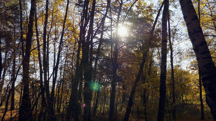 Similar image 21431310