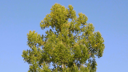 Similar image 21431311