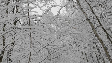 Similar image 21423479