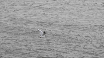 Similar image 21431315