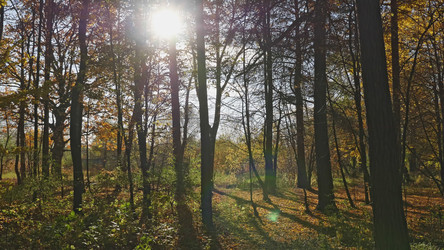 Similar image 21431317