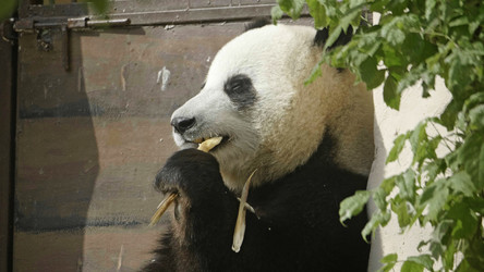 Similar image 21423482