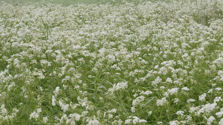 Similar image 21431323